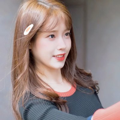 狐蝠